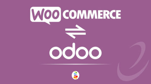 Odoo Conector ERP Integrado con Woocommerce Wordpress Openinnova