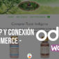 Odoo ERP y Conexión Woocommerce – Sinchi